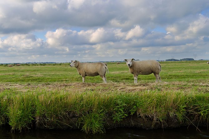 Small-Group Guided Sunset Canoe Tour in Waterland with Dinner - What to wear and pack for a Dutch sunset on the water