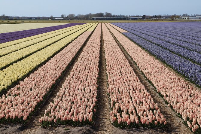Small Group Keukenhof and Delft Guided Tour from Amsterdam - Delft on a guided canal walk plus a pottery workshop