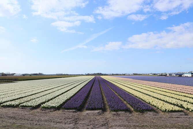 Small Group Keukenhof and Delft Guided Tour from Amsterdam - Price and value: why $191.88 can be fair (or not)
