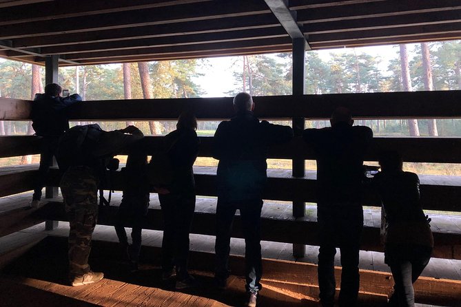 Small Group Tour to NP Hoge Veluwe (van Gogh) from Amsterdam - Getting the Most From Tickets, Bike Use, and Optional Stops