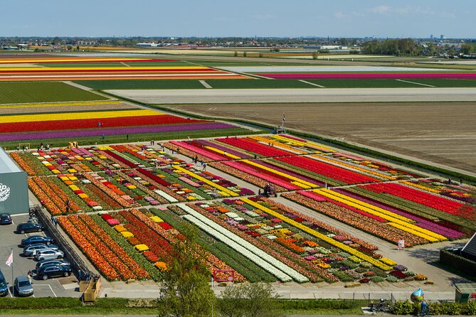 Tour to Giethoorn and Keukenhof Tulip Fields from Amsterdam - Price, timing, and what to bring for April color