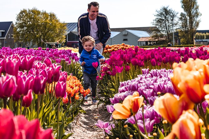 Tulip Experience and Keukenhof Flower Gardens Tour from Amsterdam - Tulip day in Amsterdam: museum start, garden finale
