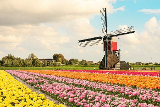 Tulip Experience and Keukenhof Flower Gardens Tour from Amsterdam - Keukenhof gardens: 2.5 hours to find your favorite colors