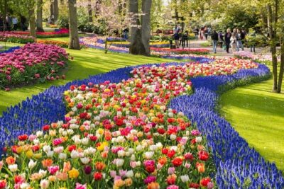 Tulip Experience and Keukenhof Flower Gardens Tour from Amsterdam - Tulip Experience Amsterdam: the story you’ll actually remember