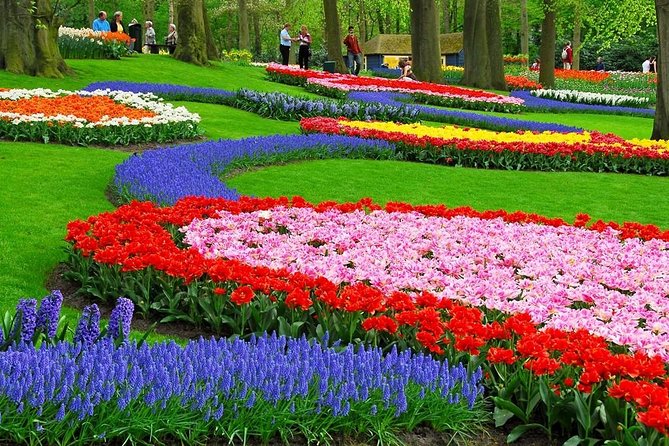 Tulip Experience and Keukenhof Flower Gardens Tour from Amsterdam - Who should book this tour (and who may pass)