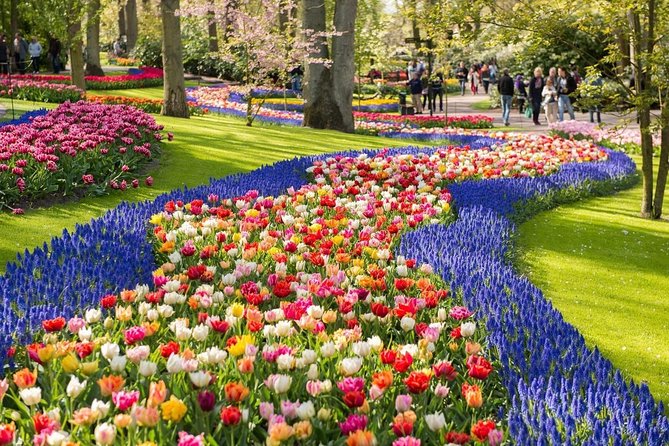 Tulip Experience and Keukenhof Flower Gardens Tour from Amsterdam - Tulip Experience Amsterdam: the story you’ll actually remember