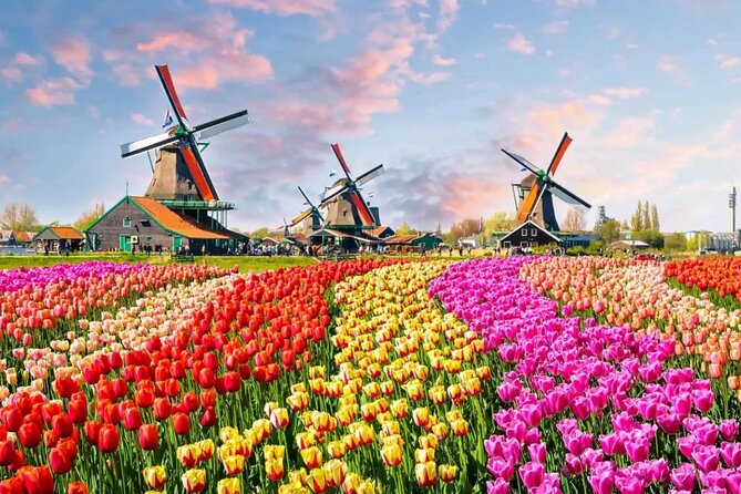 Tulip Paradise: Keukenhof Half-Day Private Tour - The blooming-fields drive: why the “journey” is part of the show