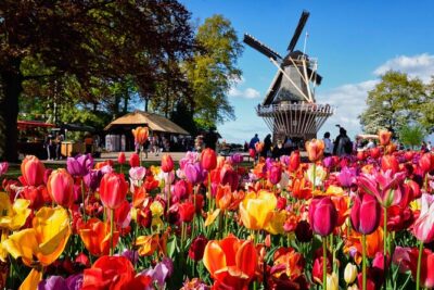 Tulip Paradise: Keukenhof Half-Day Private Tour - The 9:00 AM pickup: comfort + local context before the flowers