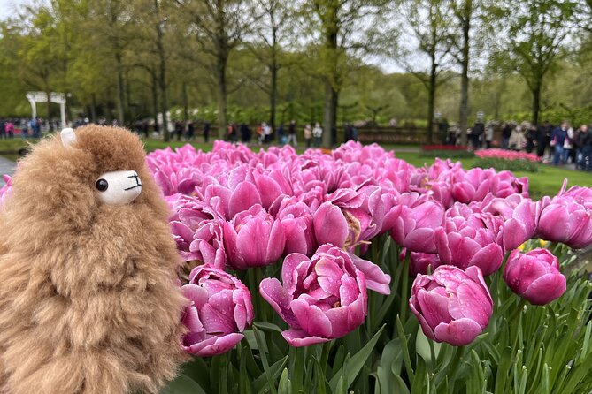 Tulip Paradise: Keukenhof Half-Day Private Tour - Arriving at Keukenhof around 11:00 AM: when to walk and how to plan