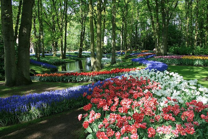 Tulip Paradise: Keukenhof Half-Day Private Tour - The best part about a self-guided Keukenhof: you set the pace