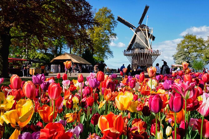 Tulip Paradise: Keukenhof Half-Day Private Tour - The 9:00 AM pickup: comfort + local context before the flowers