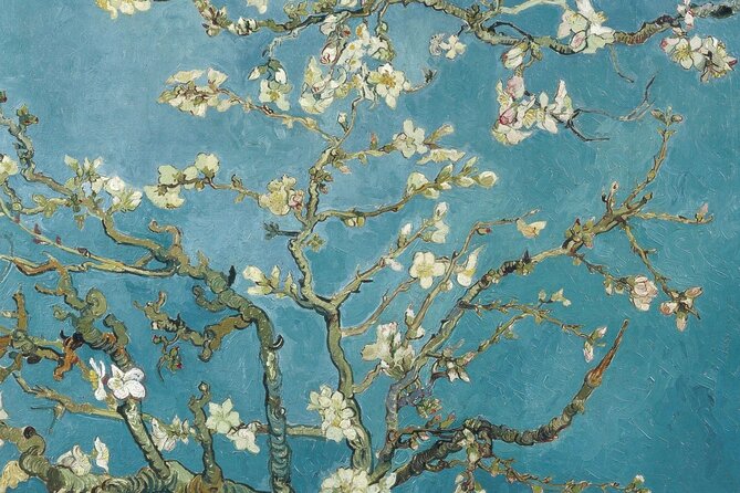 Van Gogh Museum Amsterdam Private Guided Tour With Admission - How a private guide changes your Van Gogh Museum experience
