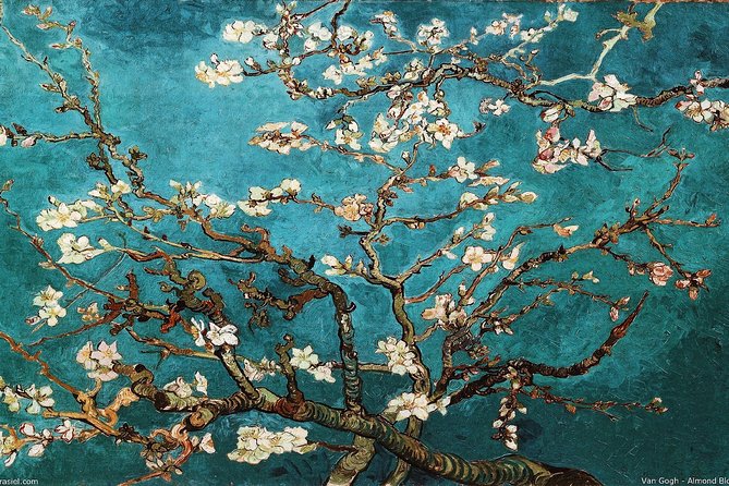 Van Gogh Museum Tour Reserved Entry Semi Private - What you’ll actually see: Holland-to-France, studio objects, and the big names