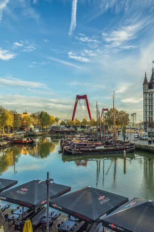 VIP Private Full Day Tour of the Netherlands - Transportation and comfort: luxury on paper, reality to confirm