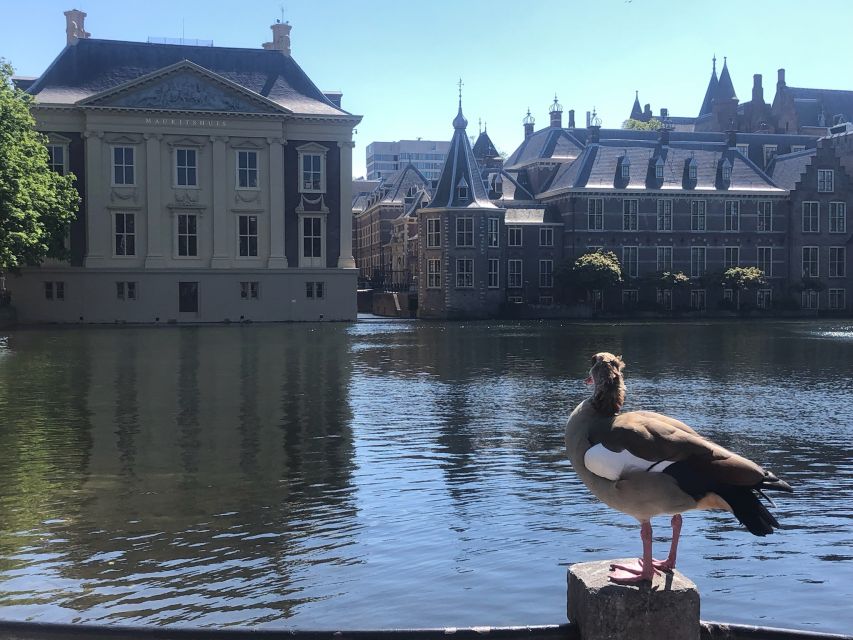 Visit the Girl with the Pearl Earring, The Hague & Delft - Should you book the Hague and Delft private tour?