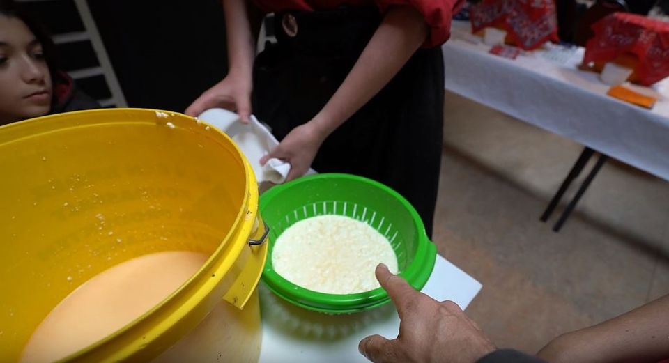 Volendam: 2.5-Hour Cheesemaking Workshop & Clog Making Tour - The 2.5-hour cheesemaking lesson: mixing, heating, pressing, and eating