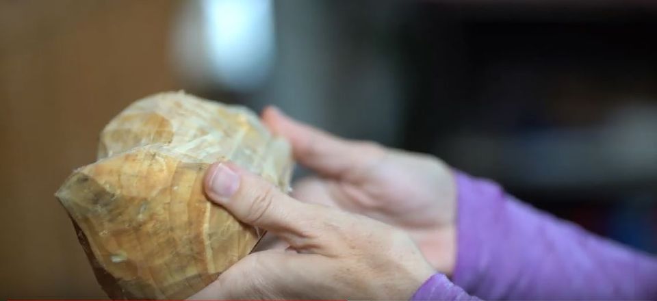 Volendam: 2-Hour Clogmaking Workshop and Cheese Tour - Price and value: $91 for 2 hours that includes more than just watching
