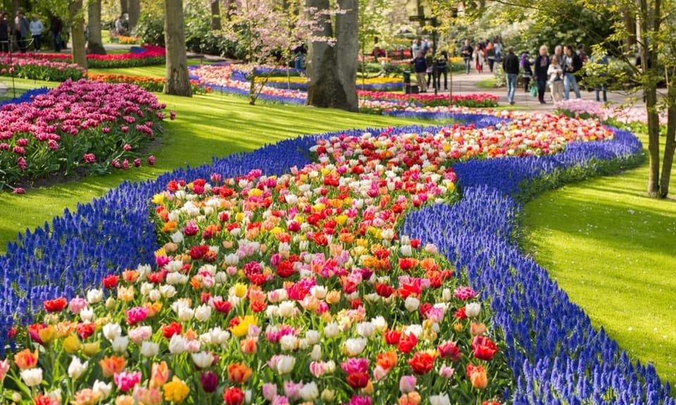 Warmond: Windmill Cruise and Keukenhof Entry Ticket - Key things that make this tour worth your time