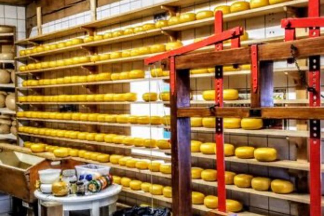 Windmills Country side tour Zaanse Schans-Cheesefactory-Volendam - Stop 2: Jacobs Hoeve by Henri Willig and the free cheese tasting