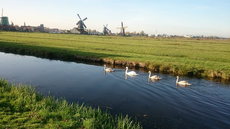 Zaanse Schans Windmills 4-Hour Tour in Italian - Cheese farm visit and tastings: what you’re really learning